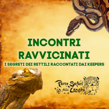 Incontro didattico: INCONTRI RAVVICINATI