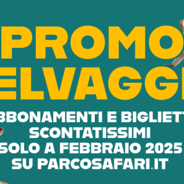 Biglietti e Abbonamenti 2025